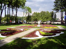 Цветники в центральной части парка рядом
с главной аллеей.