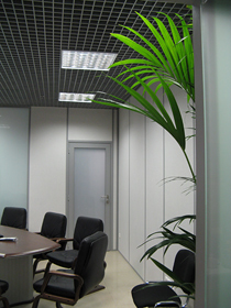 В переговорной комнате важно создать
теплую атмосферу. Для этого нами была
выбрана пальма Ховея, растение
относительно неприхотливое к условиям
освещенности (в переговорной нет
дневного света).